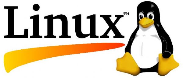 컴퓨팅세계 평정한 '리눅스'...커뮤니티도 살아있네