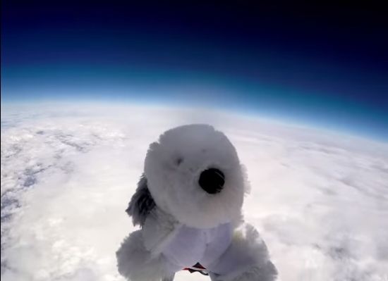 장난감 강아지 샘, 헬륨풍선으로 성층권까지 비행
