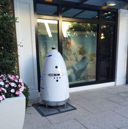 자율 보안 로봇 K5 (사진= ABC7뉴스 리포터 Lilian Kim 트위터 @liliankim7)