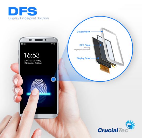 크루셜텍의 디스플레이 일체형 지문인식 'DFS(Display Fingerprint Solution)' (사진=크루셜텍)