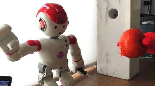 무섭게 변한 가정용 로봇 “해킹의 위험성 보여줘”