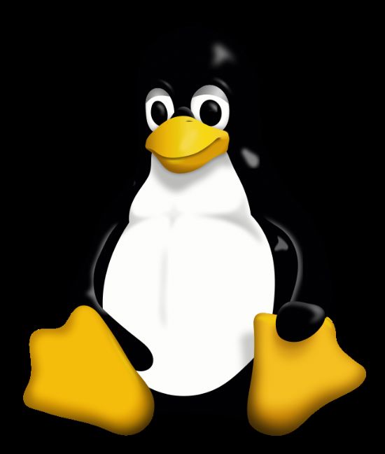 리눅스 커널에 새로운 보안 조치를 취하는 것과 관련 리누스 토발즈가 오히려 개발자들에게 불편함만 유도할 수 있다고 지적했다.
