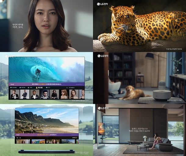 LG, 신형 OLED TV로 AI 주도권 강화 '속도'