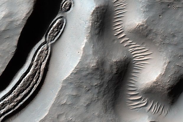 NASA, 박테리아처럼 보이는 화성 사진 공개