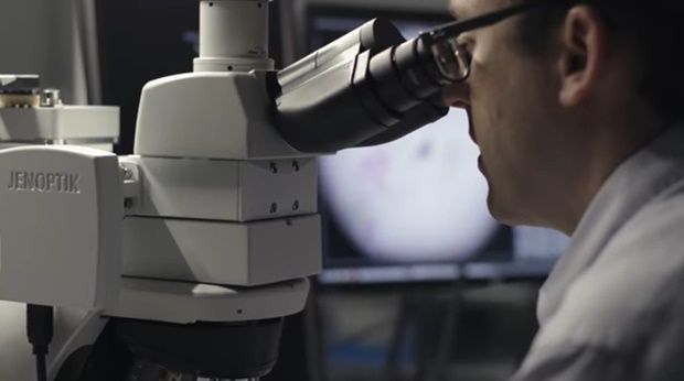 구글, 암세포 감지하는 'AI·AR 현미경' 개발
