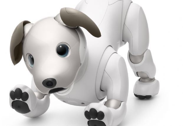 소니, 강아지 로봇 '아이보' 9월부터 美 판매