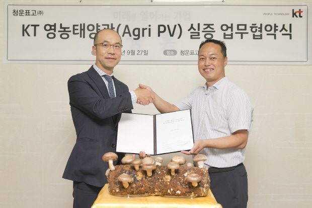 KT, 영농 태양광 상품 실증 추진