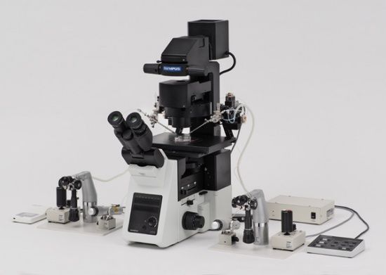 올림푸스의 생물현미경, IX3-ICS와 IX3-IMSI. (사진=올림푸스)