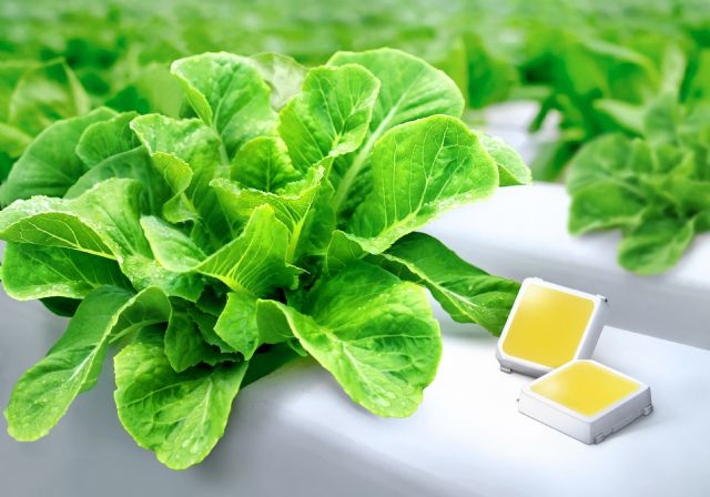 삼성, 업계 최고 효율 ‘식물 생장용 LED’ 양산