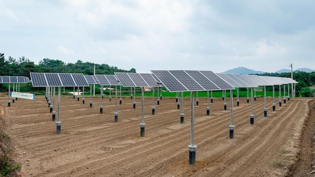 한수원, 첫 한국형 영농병행 태양광 보급사업 준공