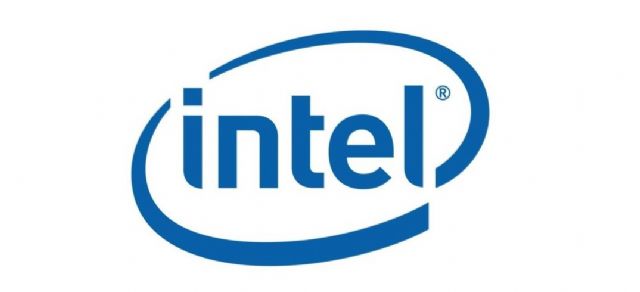 인텔, 이스라엘 AI 칩 제조사 '하바나랩스' 인수