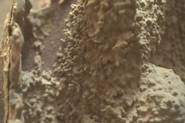 NASA, 기이한 화성 지표면 모습 공개 “울퉁불퉁 혹 같네”