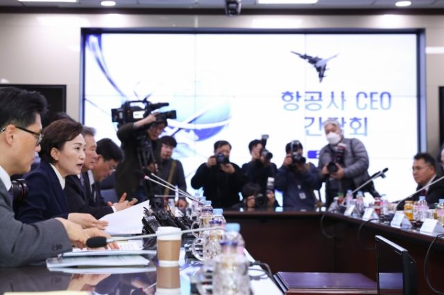 김현미 장관 “신종 코로나 타격 항공업계 적극 지원”
