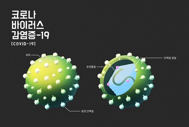 코로나19 비밀 풀었다…韓연구팀, RNA 전사체 분석 성공