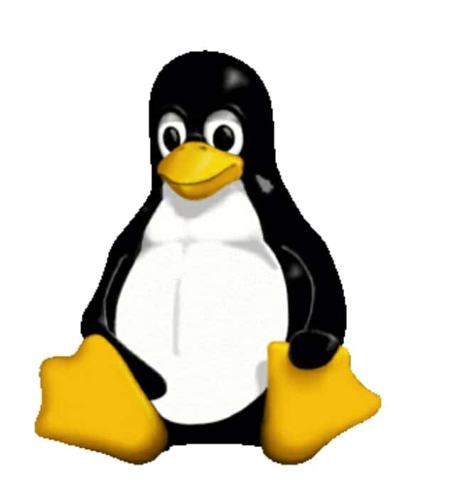 리누스 토발즈, ‘리눅스 커널’ 최신 C언어 표준 업그레이드 결정
