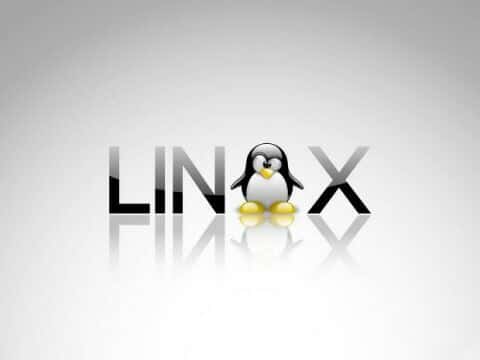 리눅스, '암호화폐 채굴·웹셸·랜섬웨어' 공격 많았다