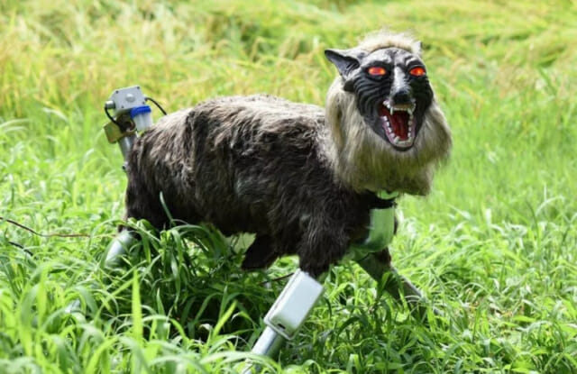 야생동물로부터 마을 지키는 '늑대 로봇' 화제