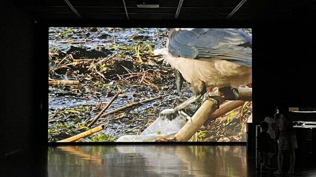 한국엡손이 오는 8월까지 진행되는 '기후미술관'展에 고광량 프로젝터를 협찬했다고 밝혔다.
