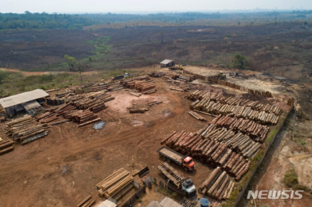 아마존 열대우림 손실, 15년 만에 최악