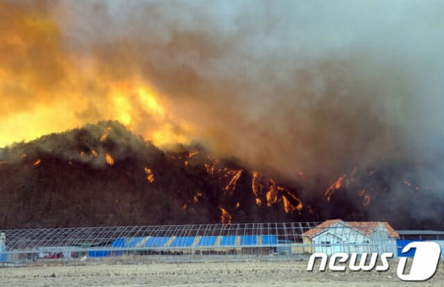 울진 산림 화재 발생…한수원, 한울 원전 연소 차단 '총력 대응'