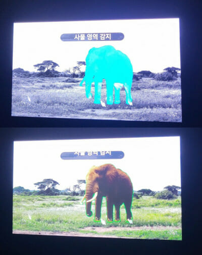 네오 QLED 8K TV의 데모 영상에서는 '초미세 라이트 컨트롤' 기술로 코끼리의 형상을 분석한 후, 최적의 색상을 표현하는 과정을 보여줬다. (사진=지디넷코리아)