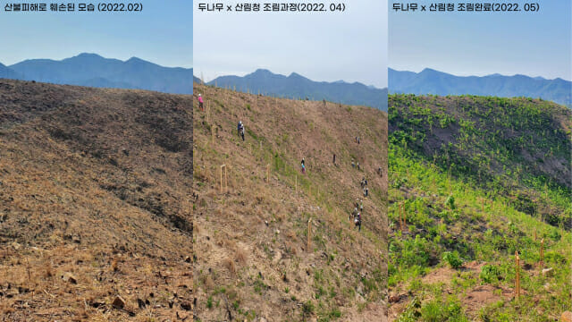 두나무, 경북 산불 지역에 나무 1만260그루 심었다