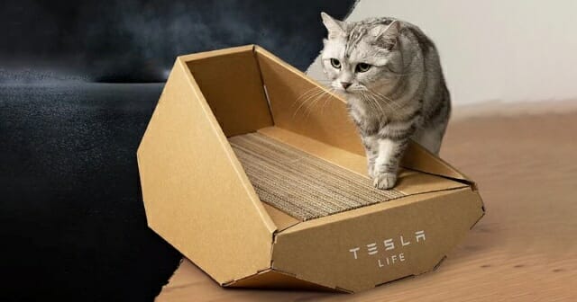 지난 달 테슬라가 선보인 사이버트럭을 닮은 고양이 집 (사진=테슬라 중국 사업부)