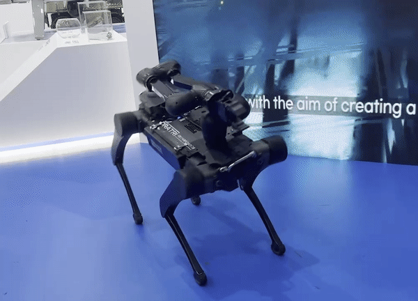 레인보우로보틱스가 현대로템과 공동 개발한 방산용 사족보행 로봇을 'ADEX 2023'에 전시했다. 유연하다. (사진=신영빈 기자)