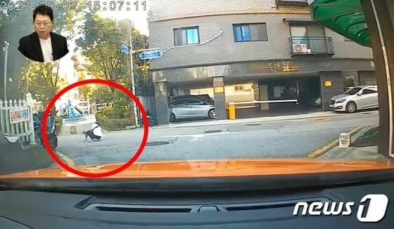 [영상] 반려견 변 처리하다 차에 치인 女…