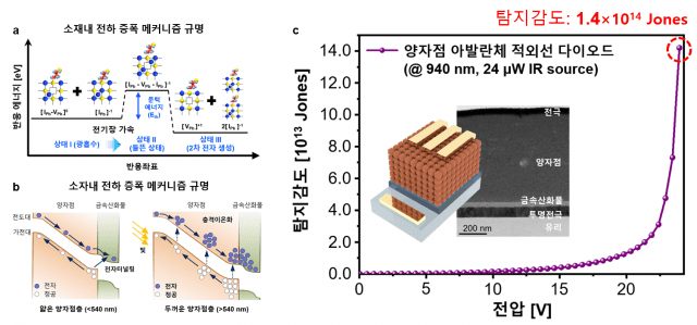 KAIST가 개발한 양자점 소재 및 소자에서의 아발란체 전하 증폭 메커니즘 개요도.(그래픽=KAIST)