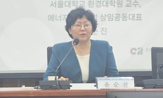 윤순진 서울대 환경대학원 교수 (사진=지디넷코리아)