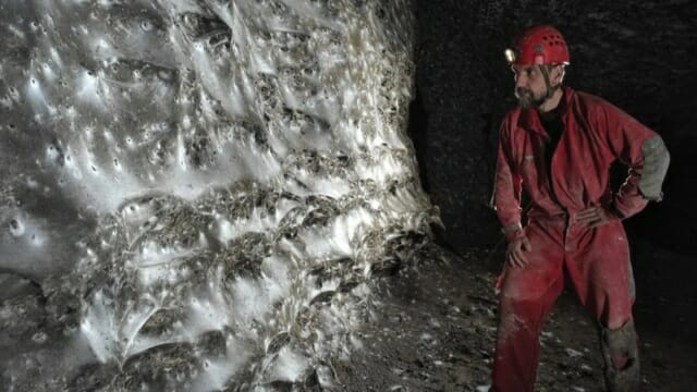 [포토] 거미 11만 마리가 만든 ‘세계 최대 거미줄’