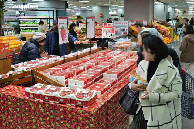 "이제 딸기 시즌"…롯데마트, 팩 딸기 전품목 할인