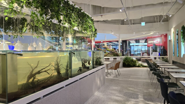 스타필드 빌리지 운정에 집점한 아쿠아리움 카페 ‘어푸어푸’