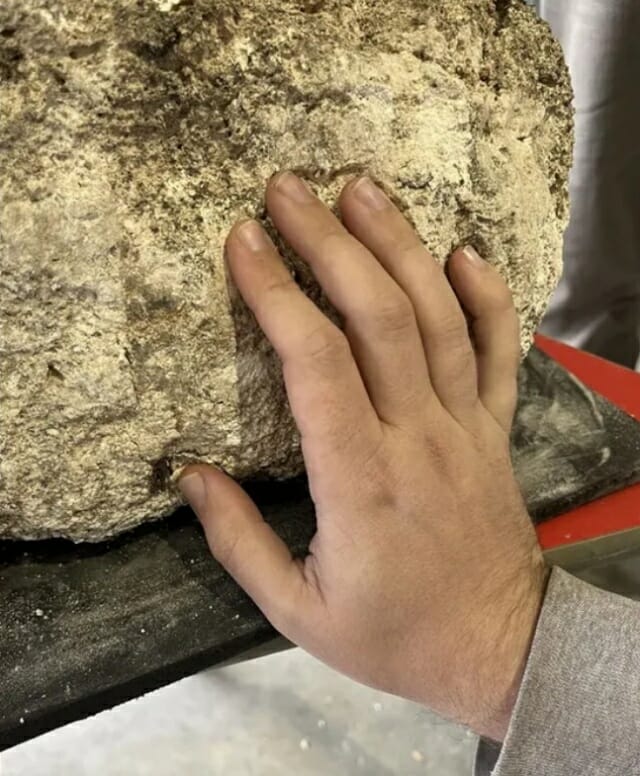 출처=Seeing the Dead Project/요크 대학교•요크 박물관 재단