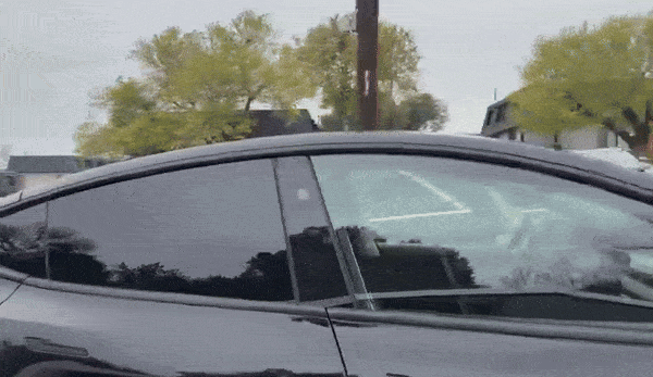 [영상] 사람 없는 테슬라 로보택시 포착…머스크 "시험 운행 시작"