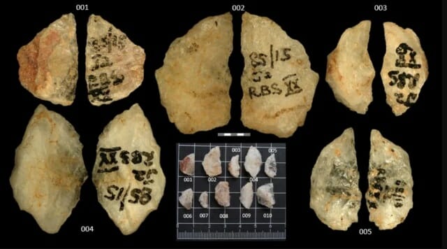 6만년 전에도 독화살 있었다…남아공서 화살촉 발견