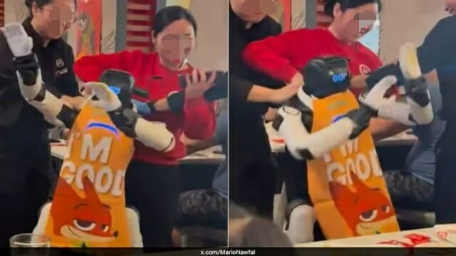 [영상] "웃다가 놀랐네"…춤추다 난동부린 휴머노이드 로봇