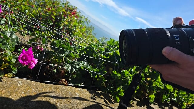 초점거리 70mm에서 근접촬영 거리가 33cm 상당까지 줄어들었다. (사진=지디넷코리아)