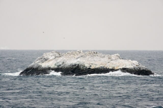 사진=알프레드 베게너 연구소/Simon Dreutter