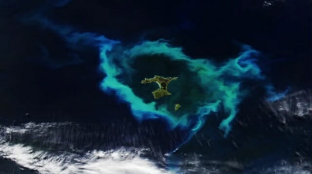 바다 한 가운데 ‘푸른 고리’ 포착…정체는 [우주서 본 지구]