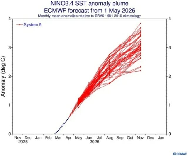 ECMWF의 2026년 11월까지의 엘니뇨 현상에 대한 예측 자료 (출처=ECMWF)